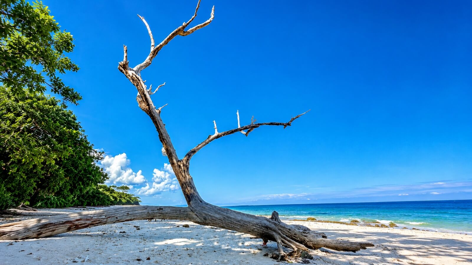 4N/5D Andaman Tour Packages
